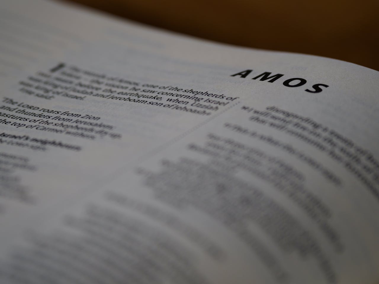 Detailed shot of the book of Amos in the Bible with blurred background for focus on the text.